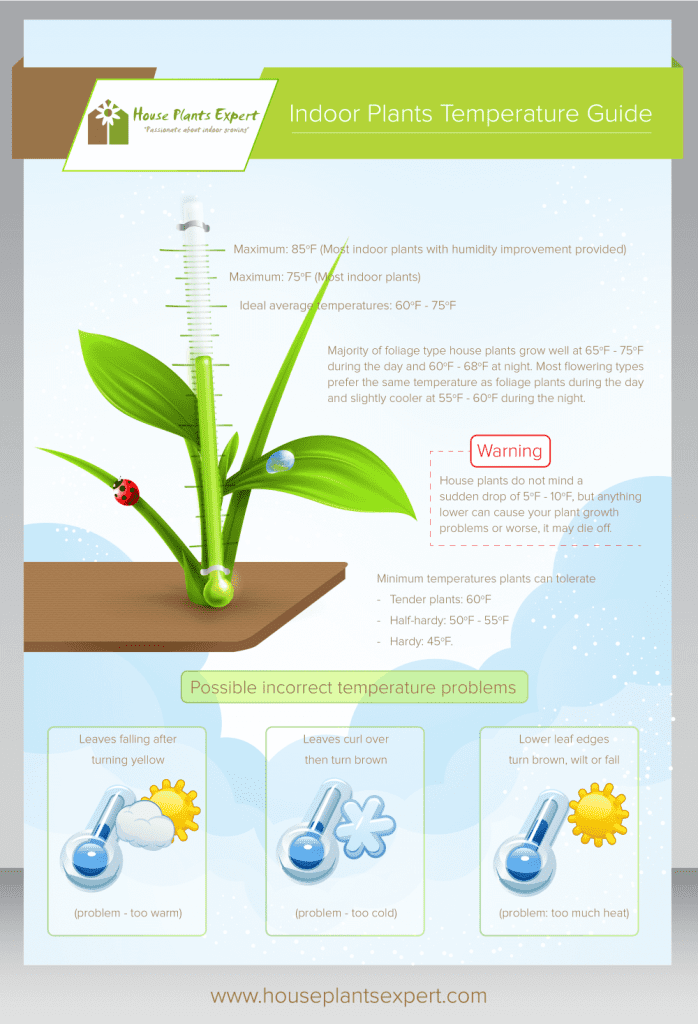 https://www.houseplantsexpert.com/wp-content/uploads/2022/08/Indoor_Plants_Temperature_Guide_Infographic1-698x1024.png