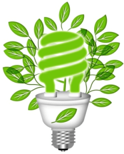 light plant care