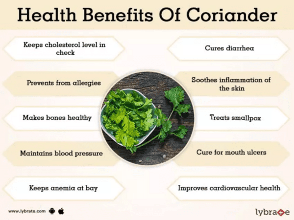 Health Benefits of Coriander